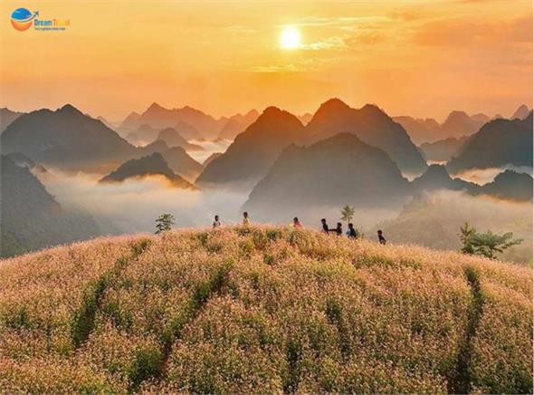 Tour Hoàng Su Phì - Bản Phùng - Suôi Thầu - Bắc Hà mùa lúa chín 3N2Đ